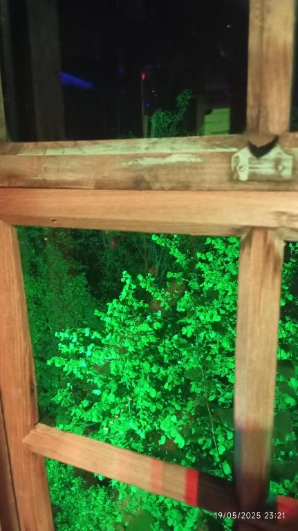 a wooden bench with a green bush behind it at KALE-İBALA PALAM OTEL Cafe in Eskiömerler