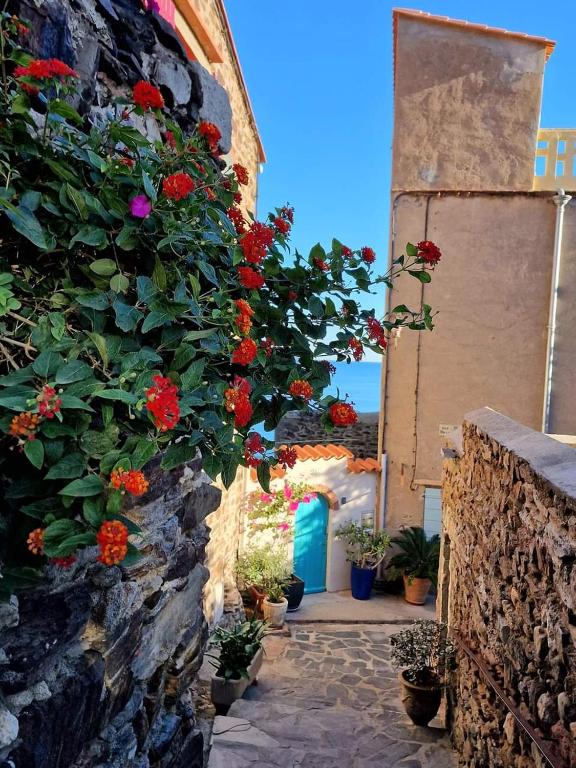 un bouquet de fleurs suspendu à un mur de pierre dans l'établissement Superbe T2 dans le quartier des peintres, au calme, tout confort, à deux pas des plages, clim et wifi, à Collioure