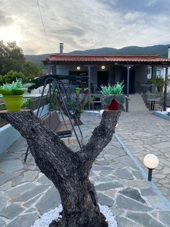 a tree branch with two potted plants on a patio at Villa Helen in Asprovalta