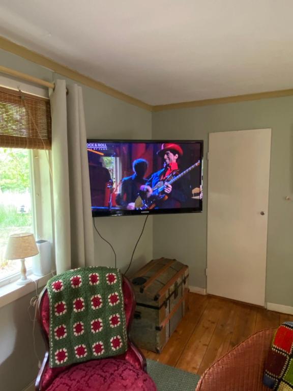 TV a/nebo společenská místnost v ubytování Villa Apple Garden