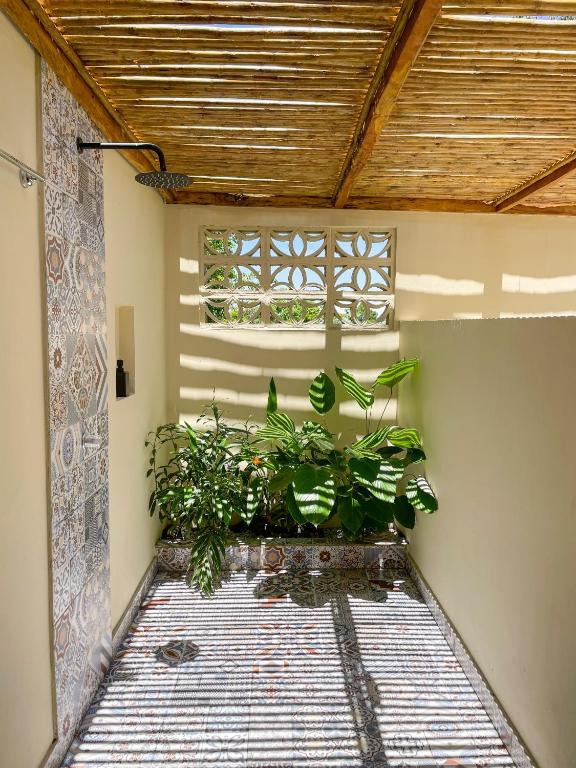 Zahrada ubytování Cabaña Privada con Jacuzzi en la Hacienda Nápoles