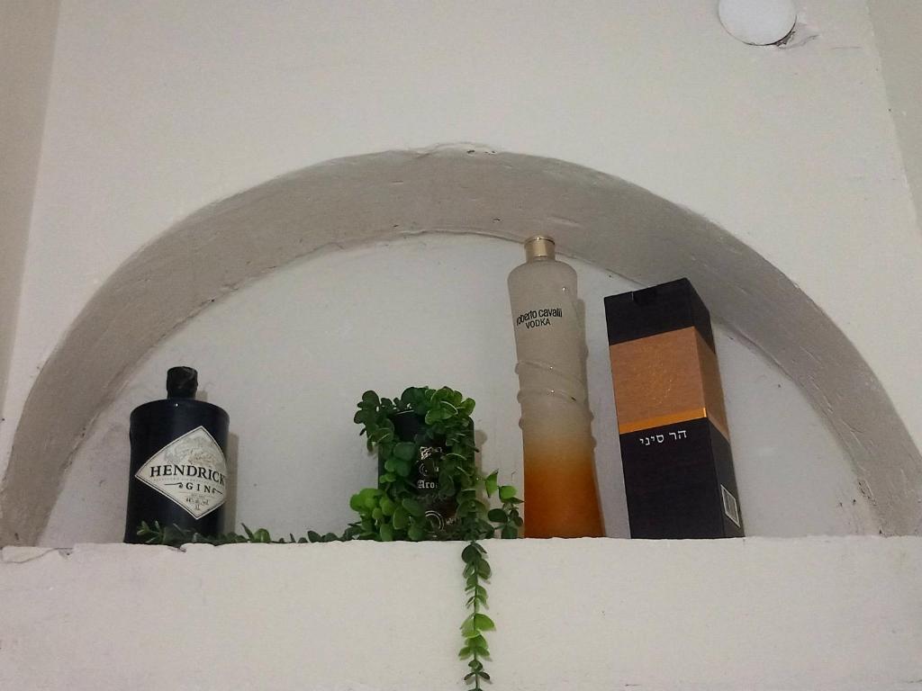 ein Regal mit zwei Flaschen Wein und einer Pflanze in der Unterkunft אירוח בגבעה in Giv‘at Shemuʼel