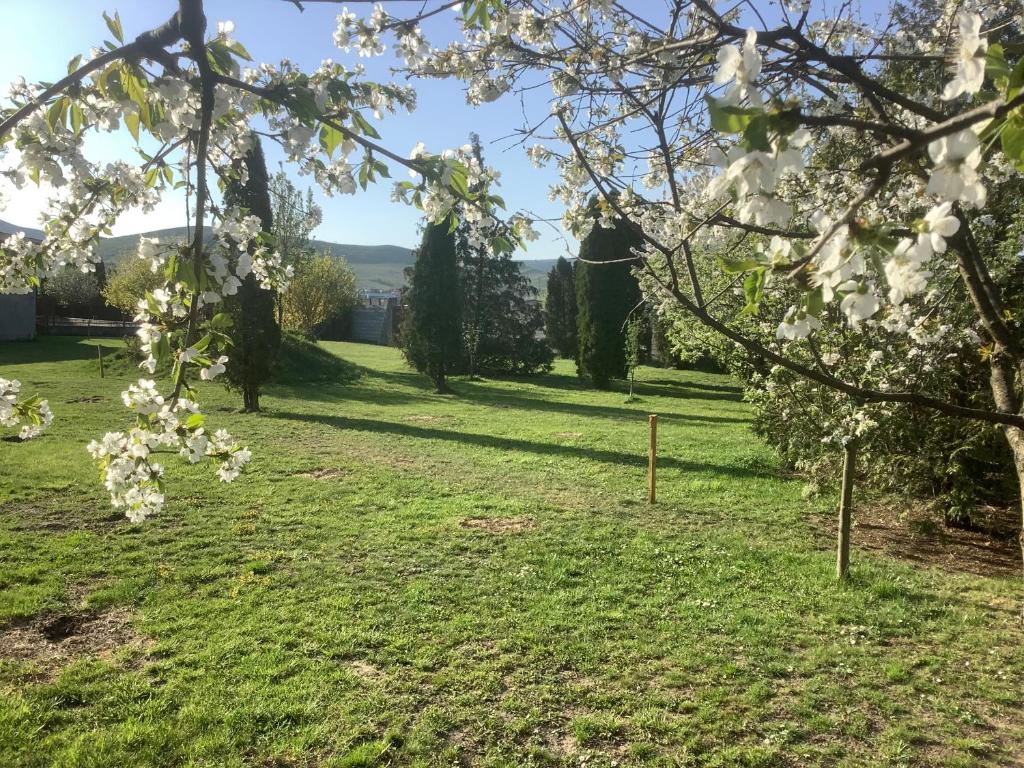 Zahrada ubytování Garden Inn