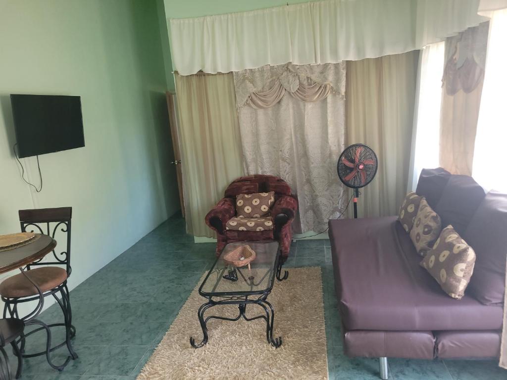 TV a/nebo společenská místnost v ubytování Apartment Joanna