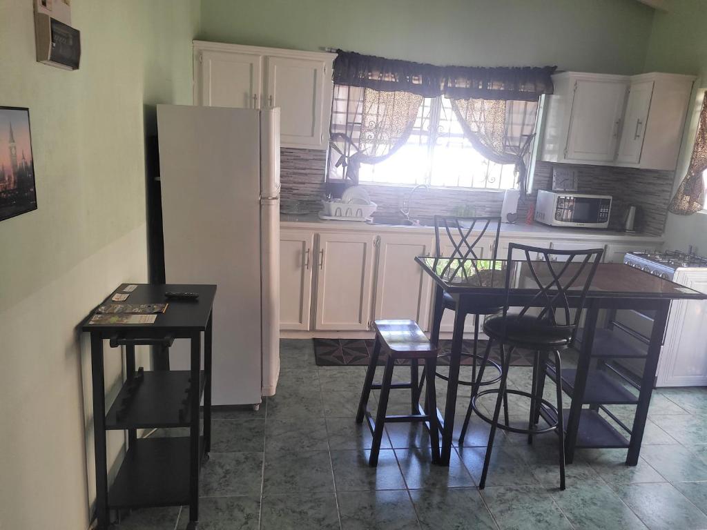 Kuchyň nebo kuchyňský kout v ubytování Apartment Joanna