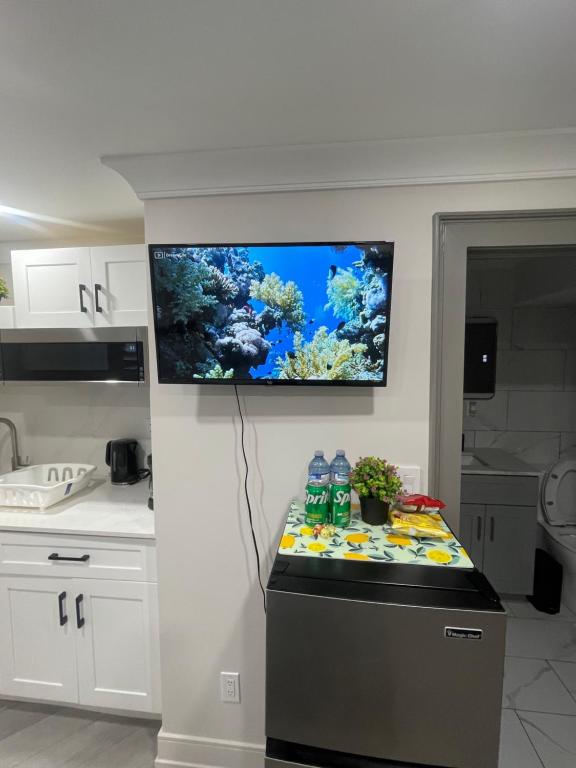 Köök või kööginurk majutusasutuses Luxury Basement-Private Bdr & Bathroom with free parking In Toronto
