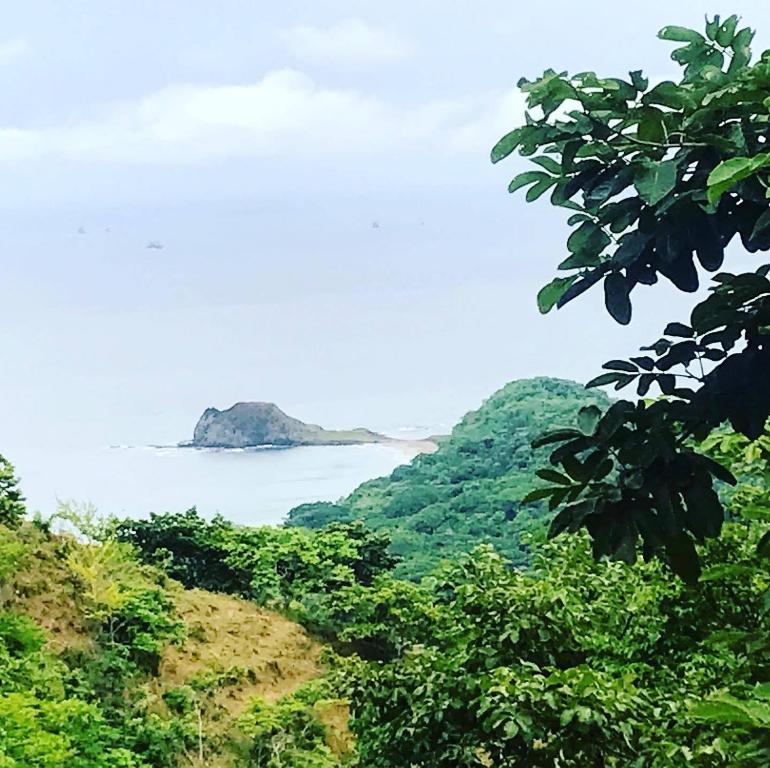 a view of the ocean from a hill with trees at Finca Buena Fuente Villas & Pool in Matapalo