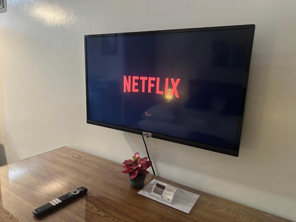 TV a/nebo společenská místnost v ubytování JORA Studio Apartment 1-B