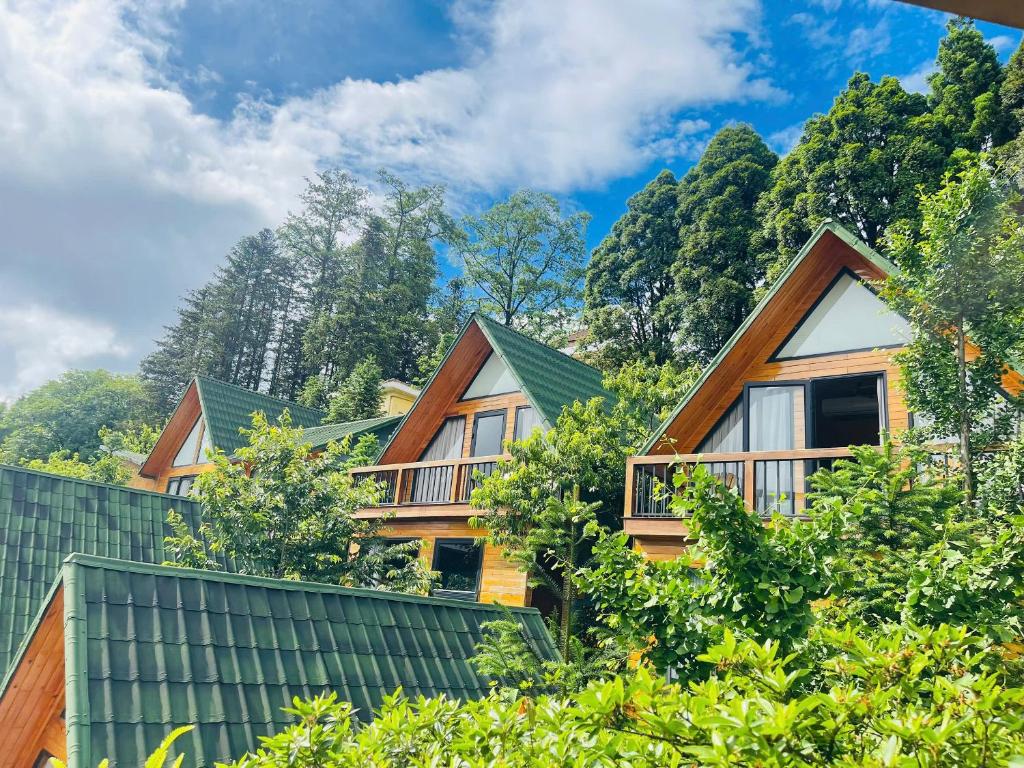 Sapa Pine Hill Eco Lodge - 2