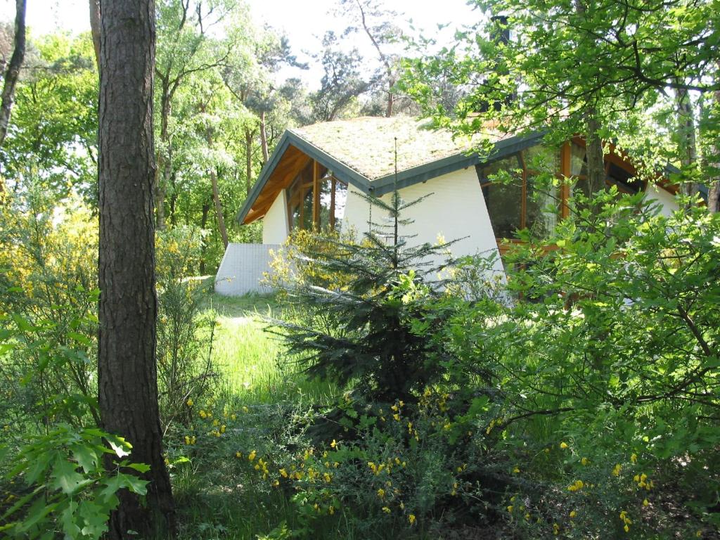 Κήπος έξω από το Modern Lakeside Escape