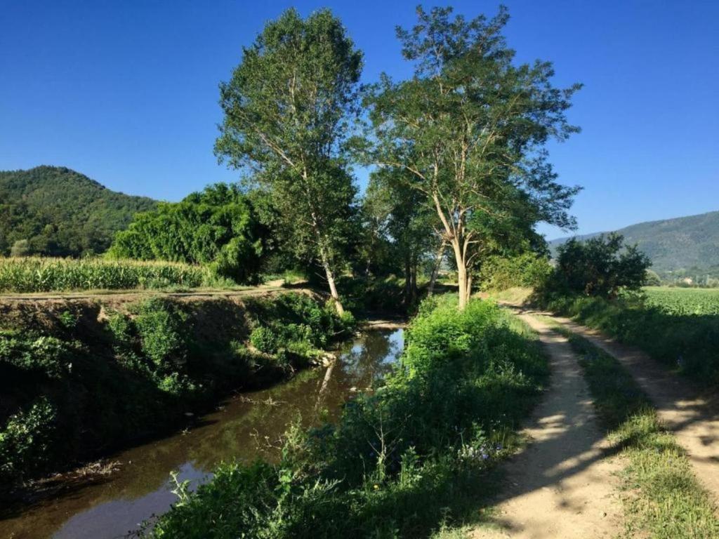 Príroda v okolí dovolenkového domu