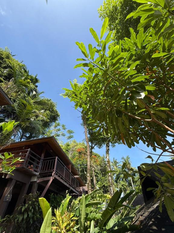 Baan Krating Khao Lak Resort - SHA plus - 17