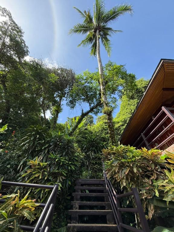 Baan Krating Khao Lak Resort - SHA plus - 16