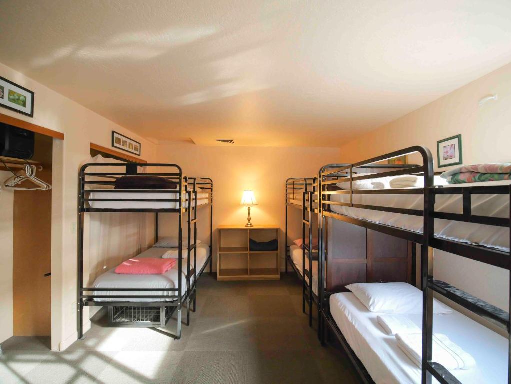Ashland Commons Hostel - Cama En Habitación Compartida Femenina De 6 Camas