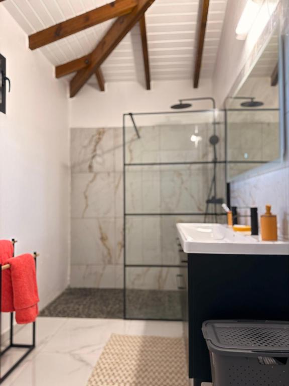 a bathroom with a glass shower and a sink at Villa Sheba in Lamentin