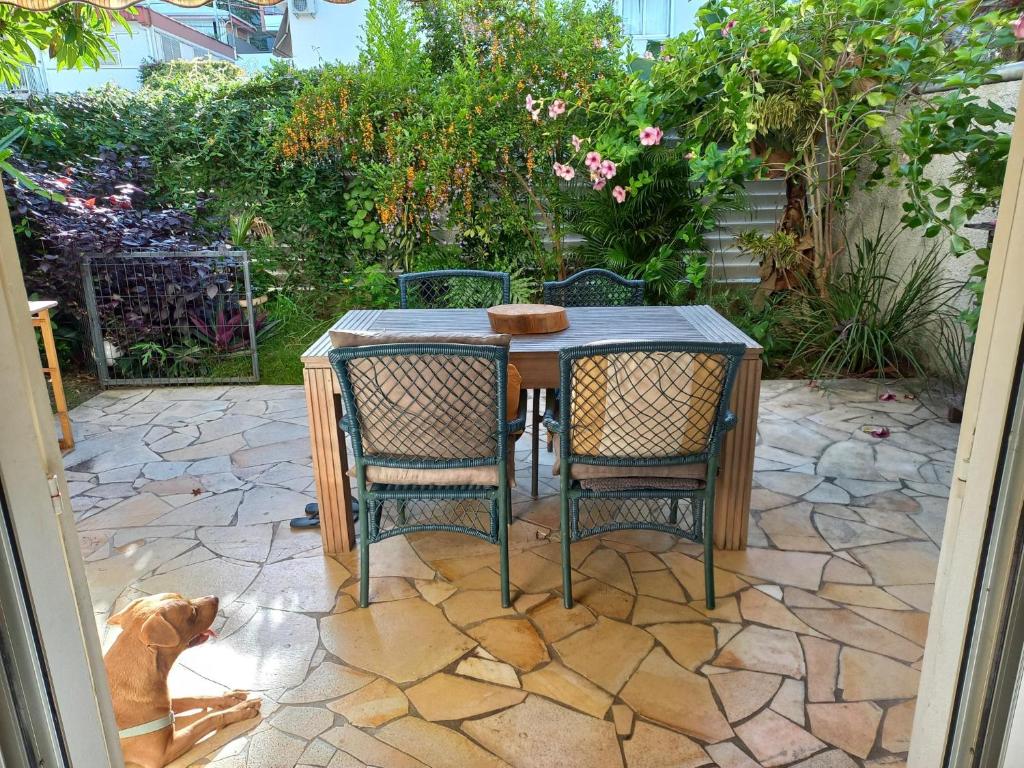 Zahrada ubytování Garden & Terrace Apartment