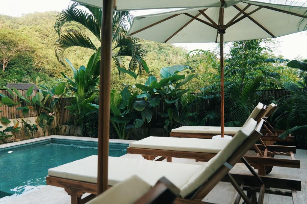 Bazén v ubytování Jungle Bungalows nebo v jeho okolí