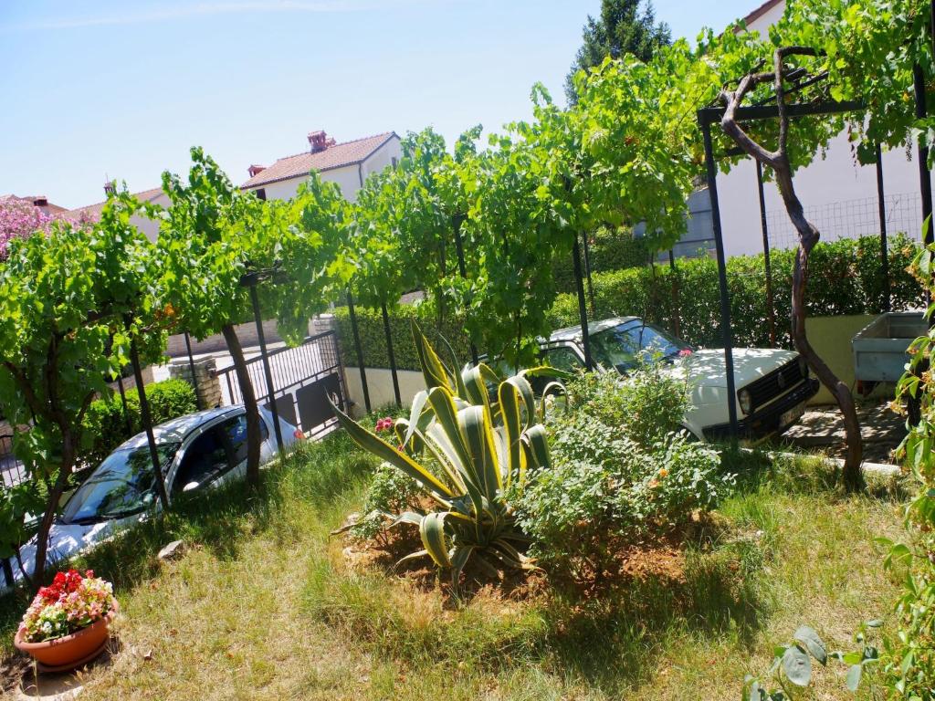 Fotografie z fotogalerie ubytování Boutique Apartment in Pješcana Uvala with Balcony v destinaci Vintijan