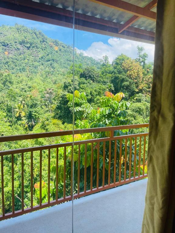 White Villa Kitulgala - 17