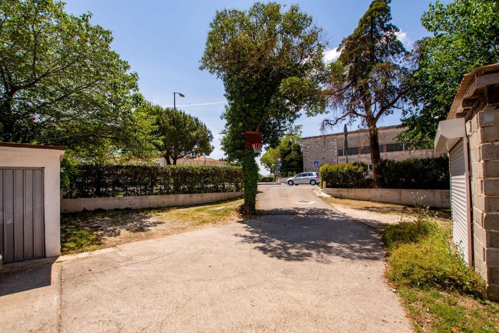 Okolí apartmánu