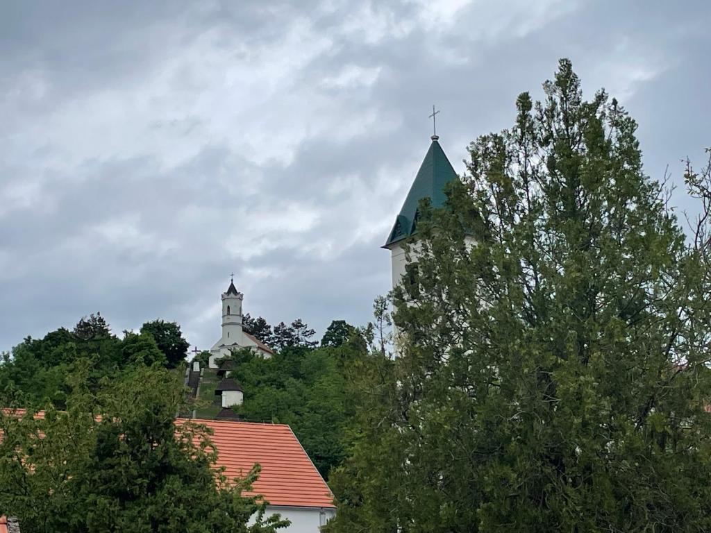 Fotografia z galérie ubytovania György Vendégház v destinácii Magyarpolány