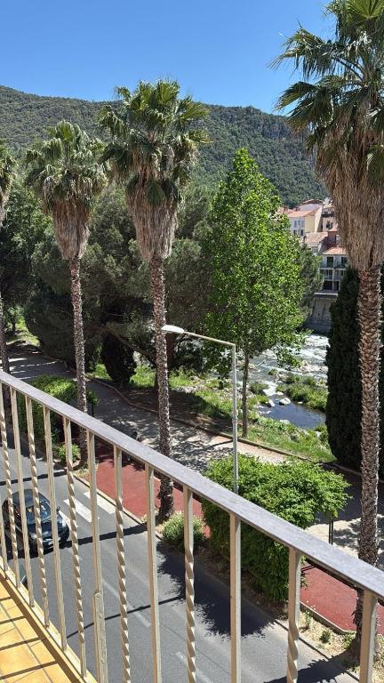 un balcon avec des palmiers dans un complexe hôtelier dans l'établissement Grand T3 Balcon vue sur Rivière, à Amélie-les-Bains-Palalda