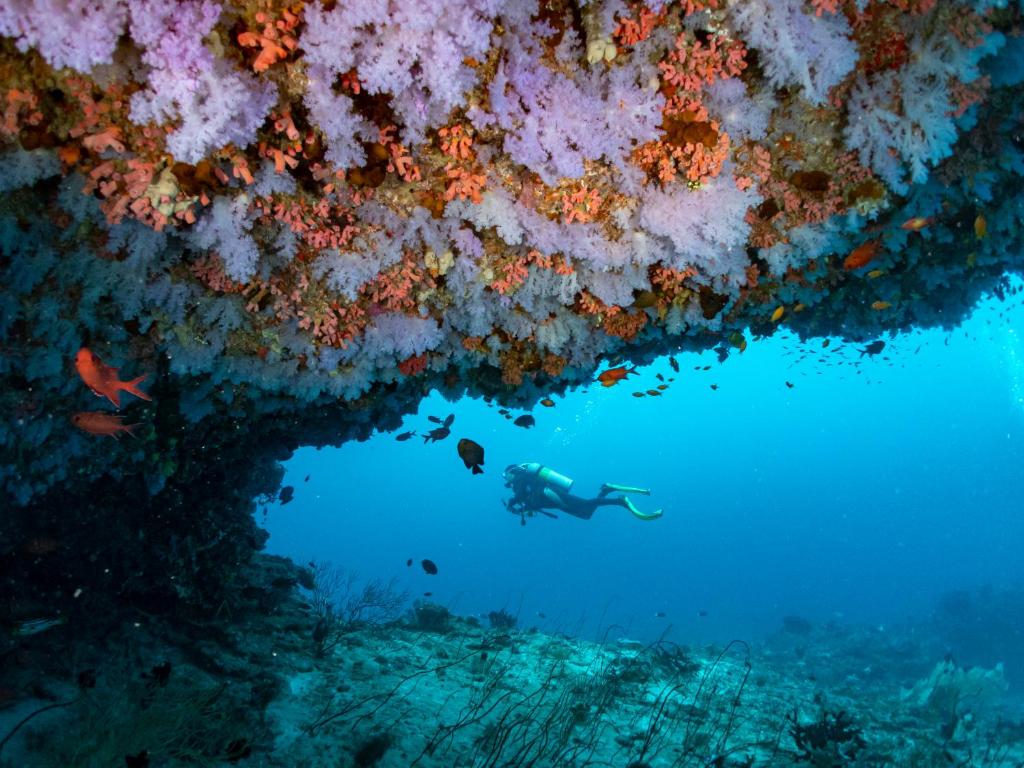Hosté ubytování Eri Maldives