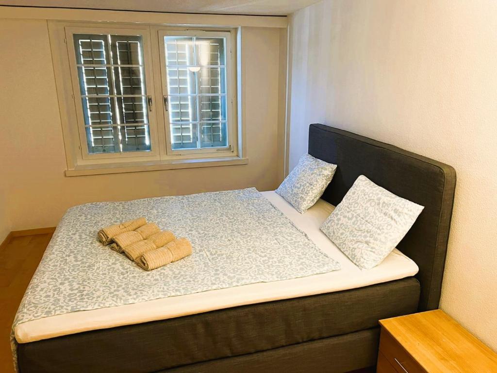 New Cozy 2 room Apartment in Zurich Old Town Center RENN - Self Checkin - Resim 2