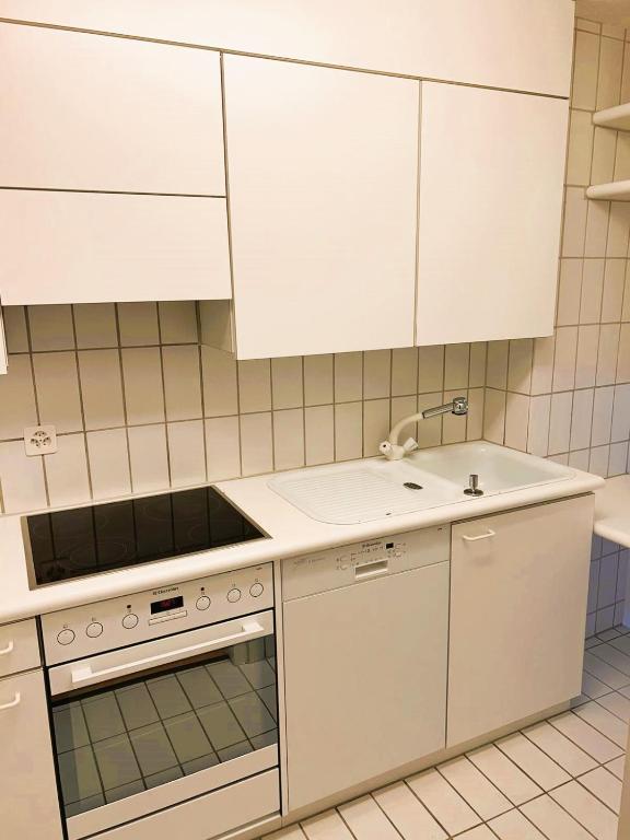 New Cozy 2 room Apartment in Zurich Old Town Center RENN - Self Checkin - Resim 3