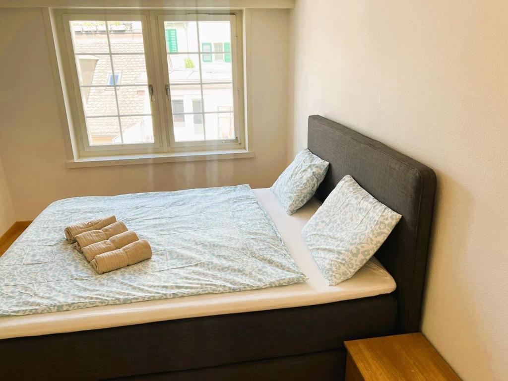 New Cozy 2 room Apartment in Zurich Old Town Center RENN - Self Checkin - Resim 9