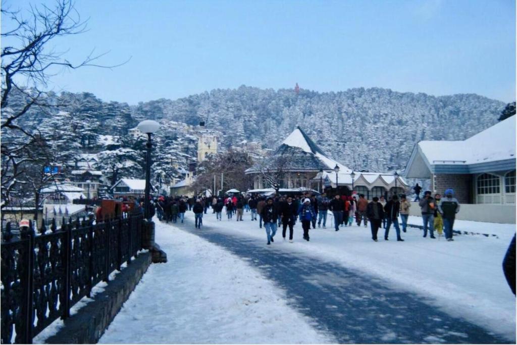 The Boho Shimla v zimě