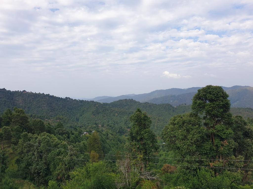 a view of a forest with mountains in the background at Greenwood Cottage in Mukteswar