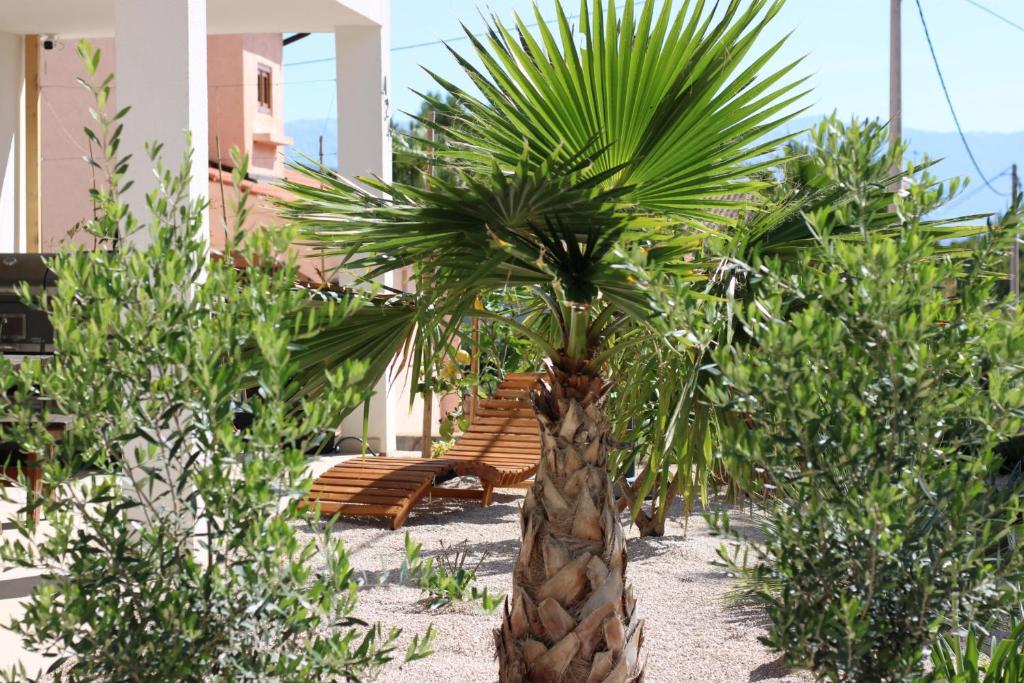 Apartment Miran