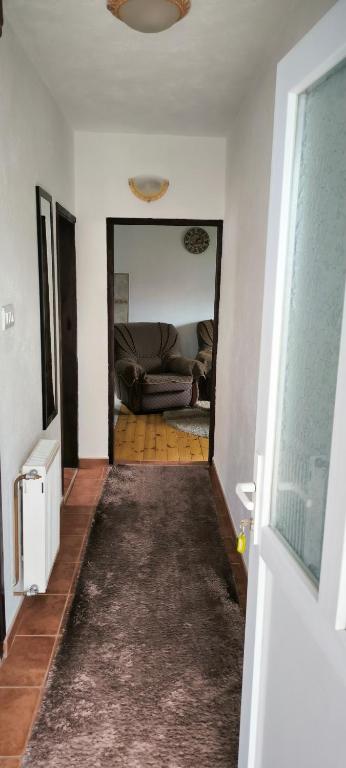 Apartments Dedeic - 17