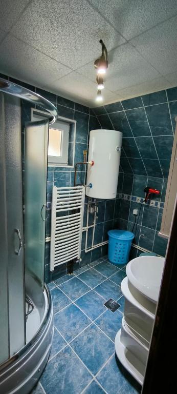 Koupelna v ubytování Apartments Dedeic