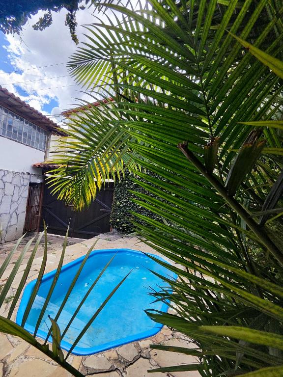 a blue swimming pool next to a palm tree at Pousada Acayaca in Diamantina