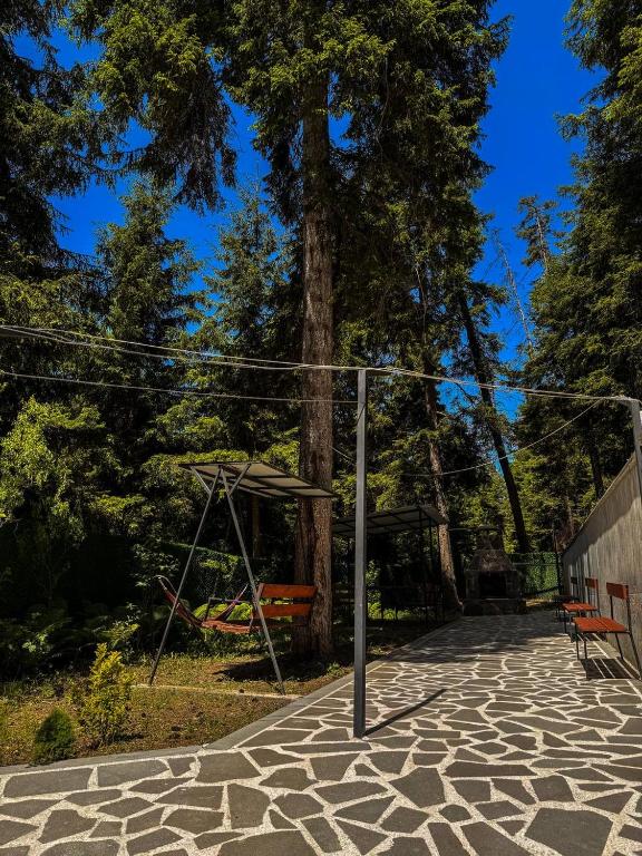 Foto dalla galleria di Hotel forest echo a Borjomi