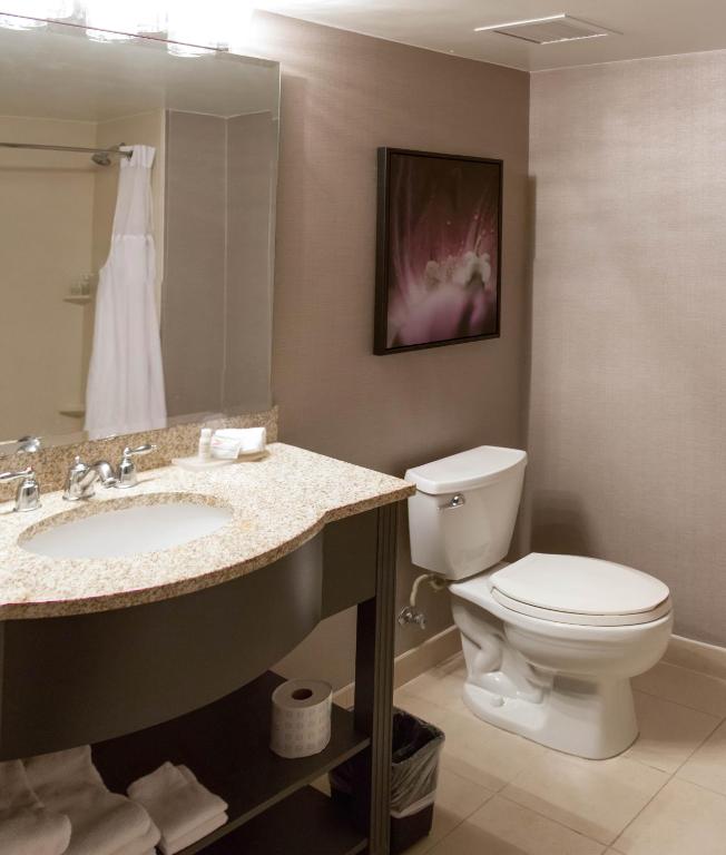 TRYP by Wyndham Savannah photo