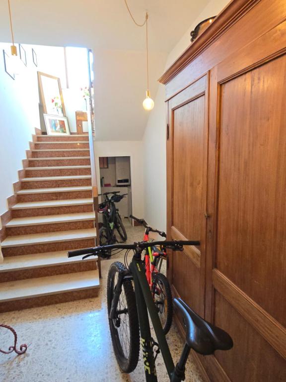 Jízda na kole v ubytování Domotic Suite at Villa Anna nebo okolí