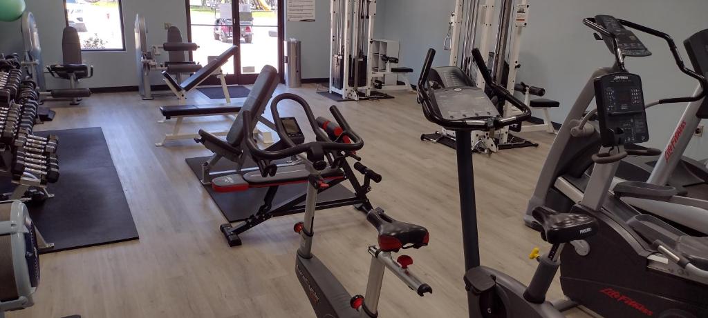 Fitness centrum a/nebo fitness zařízení v ubytování Ode to Labrador