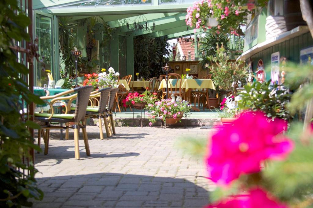 Zahrada ubytování Hotel Zur Kutsche