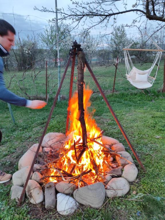 Fotografie z fotogalerie ubytování CABANE Nadejda SPERANTA v destinaci Găgeni