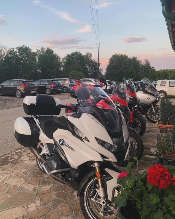Mynd úr myndasafni af Mirocki-Raj í Miroč