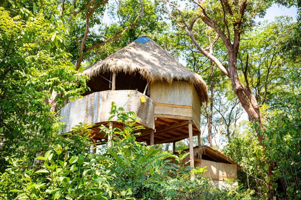 Zahrada ubytování Kactus-Your Island Sanctuary On Koh Ta Kiev