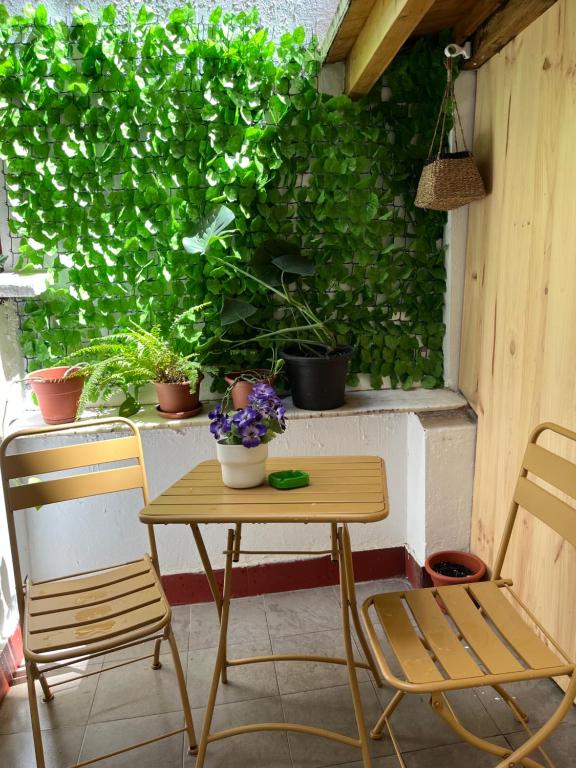 Ogród w obiekcie Pension Angelines, Sneuu Hostel Santander