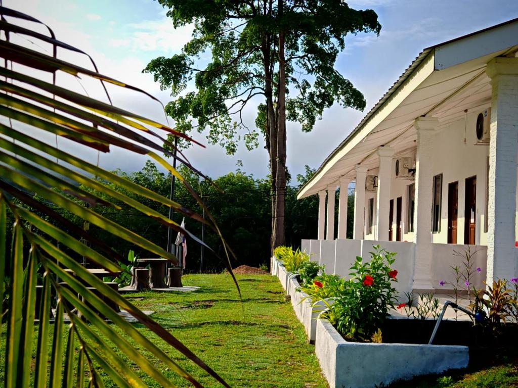 Zahrada ubytování National Park Belebar Studio - Kuala Tahan