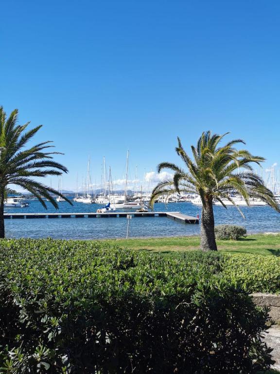 un port avec des palmiers et un port de plaisance avec des bateaux dans l'établissement Maison vue mer à Porquerolles, à Hyères
