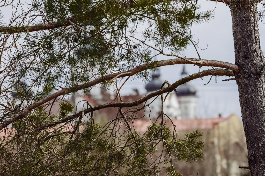 Fotografie z fotogalerie ubytování Pokoje przy rzece v destinaci Supraśl