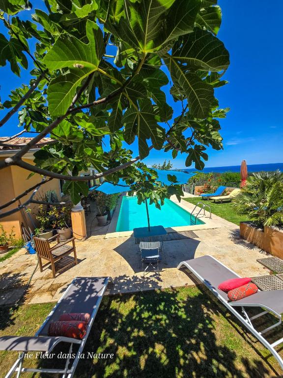 - une vue sur la piscine sous un arbre dans l'établissement Gîte L'Appart de Case Vanille, à Sari-Solenzara