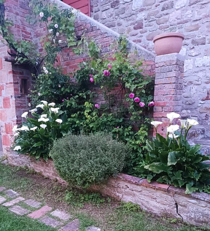 Zahrada ubytování Pilgrim Rooms